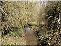 Stream through Waterlea Meadow