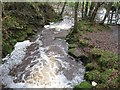 Confluence of Kingswood Burn and the River Allen