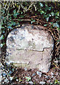 Old Milestone by the B7201, Woodslee Cottage, Canonbie parish