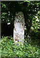 Old Wayside Cross north of Middlecott