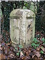 Old Milestone by the A6, Garstang Road, Bilsborrow