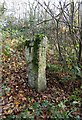 Old Guide Stone north of Reddacleave Kiln Cross