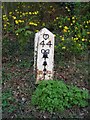 Old Milepost by the B2026, Eastbourne Road, Uckfield