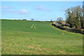 Field and lane towards Tinkerbarn