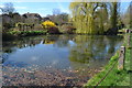 The pond at Wilton