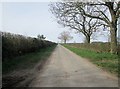 Sledmere  Road  just  after  Chalet  Farm