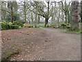 Paths near the old quarry in the Derrymore Demesne