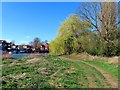 The Thames Path by Abingdon