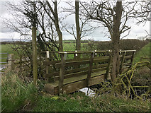 SD4454 : Footbridge across Ditch next to Moss Lane by David Dixon
