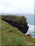 Q6847 : Cliffs on Loop Head by Matthew Chadwick