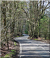 Collum Green Road near Hedgerley