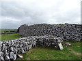 R2399 : Caherconnell Ringfort by Matthew Chadwick