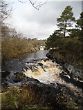 NY9027 : River Tees - Low Force Waterfall by Anthony Parkes