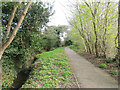 Path by Broadfield Brook, Crawley