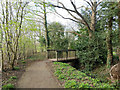 Path by Broadfield Brook, Crawley