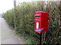 Queen Elizabeth II postbox at the edge of a hedge, Commercial Street, Senghenydd