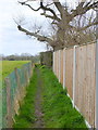 Footpath North of Booths Lane