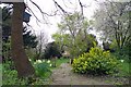 Path in Winsford Gardens