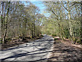 Rowley Lane near Stoke Poges