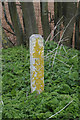 NYCC boundary stone on Oldgates Lane