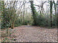 Path towards footbridge, Broadfield Park