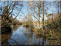 Lake, Broadfield Park, Crawley