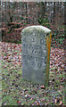 Old Milestone by A382, Newton Road, Bovey Heath