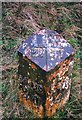 Old Milepost by the A697 at Pallinsburn, Crookham