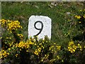 Old Milestone by Daill, Durness Parish