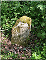 Old Milestone by Upton Pyne Hill, south of Upton Pyne