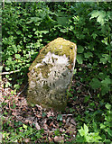 SX9096 : Old Milestone by Upton Pyne Hill, south of Upton Pyne by A Rosevear