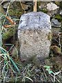 Old Milestone near Auchenbainzie