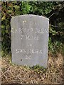 Old Milestone by the B4310 near Porthyrhyd