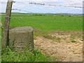 Old Milestone by the A965, Orkney Mainland