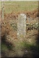 Old Milestone by the A4136 near Herbert Lodge