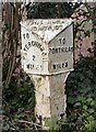 SO3636 : Old Milepost by the B4347 in Vowchurch by M Faherty