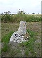 Old Wayside Cross by Park Road, Coscote