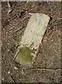 Old Milestone by the A32, New Copse, West Tisted