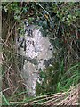 Old Milestone by the B7024, south of Ayr