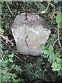 Old Milestone by the A4069, Coedglasallt