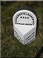 SD9911 : Old Milestone by the A640, Huddersfield Road, Denshaw Moor by C Minto