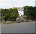 Hedge-lined perimeter of an Aberfawr Road house, Abertridwr