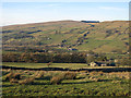 Windyside Pastures and Saugh Shield