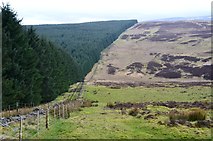 NT2729 : Forest edge from Deuchar Law by Jim Barton