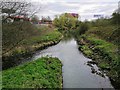 The confluence of the River Tame and Ford Brook