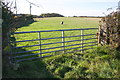 Field gate from B5344 at Moor House