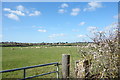 Farmland near North Leigh