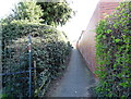 Path to Gravel Hill, Ludlow