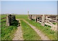 TM4598 : Farm track and footpath by Evelyn Simak