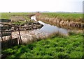 TM4598 : Drainage ditch in the Haddiscoe Marshes by Evelyn Simak